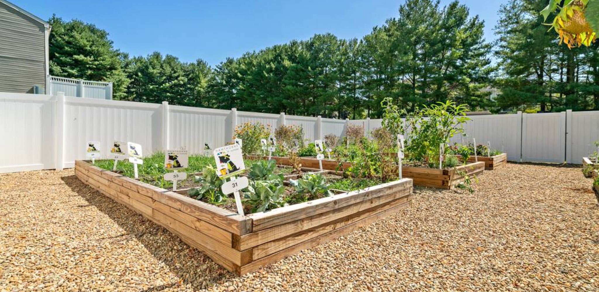 Hawthorne at Southside charming community garden featuring raised beds and a protective fence